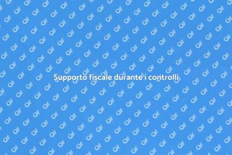 Assistenza fiscale per controlli
