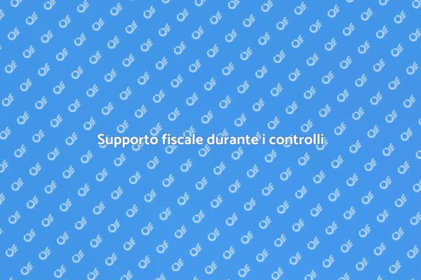 Assistenza per controlli fiscali