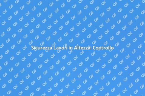 Controllo Annuale Sistemi Anticaduta