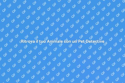 Servizio Completo di Pet Detective