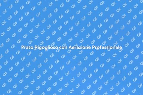 Aerazione Prato: Riscopri il Verde