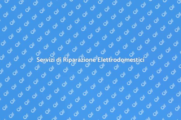Ripristina i Tuoi Elettrodomestici Oggi!