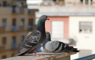 Progetto Igiene  - Foto 6