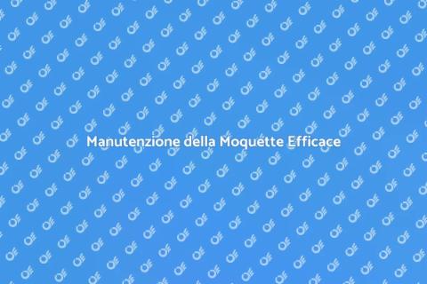 Pulizia e Ricambio della Moquette