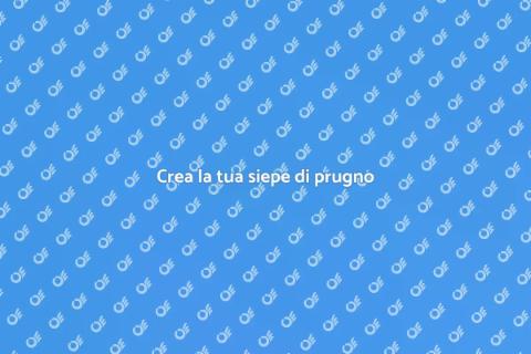 Progettare una siepe di prugno