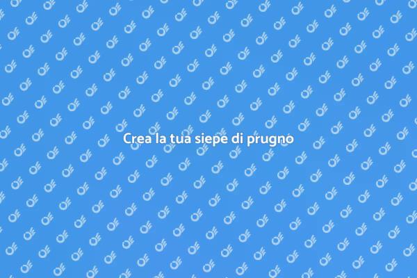 Siepe di prugno: il tuo rifugio verde