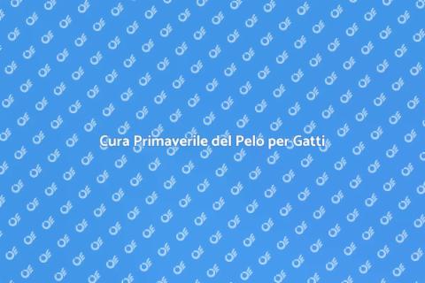 Toelettatura Primaverile per Gatti