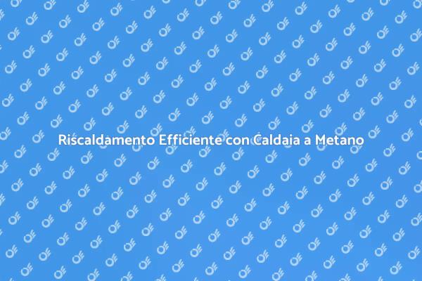 Scopri la Caldaia a Condensazione
