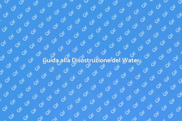 Come Risolvere il Problema del Water