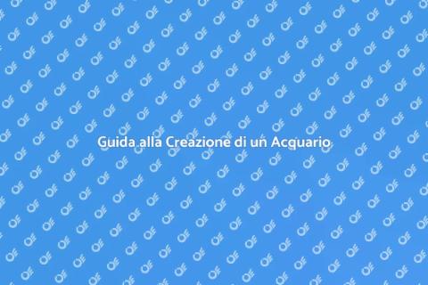 Acquario di Vetro: Guida alla Creazione