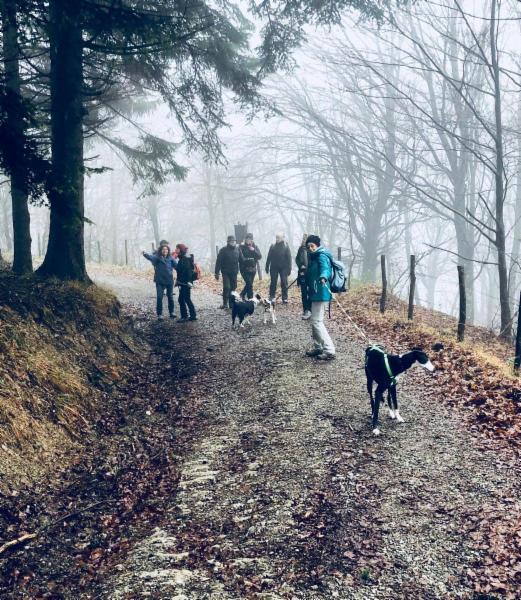 Il Segno di Fido - asd cinofila Mugello e Firenze - Foto 7
