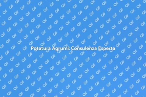 Consulenza Potatura Agrumi di Qualità