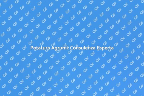 Potatura Agrumi: Scopri i Vantaggi
