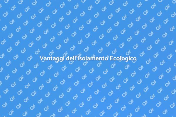 Isolamento: La Chiave per Sostenibilità