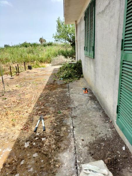 Trinakie garden & house - Foto 22