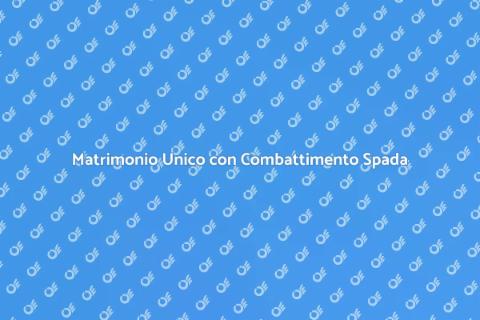 Animazione Matrimonio con Combattimento