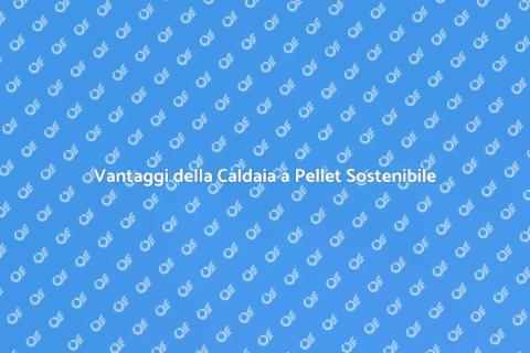 Caldaia a Pellet per il Settore Forestale