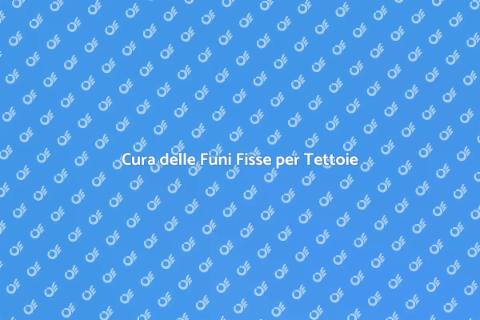 Manutenzione Funi Fisse Tettoie