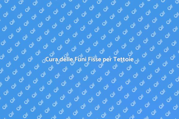 Manutenzione Efficace delle Tettoie