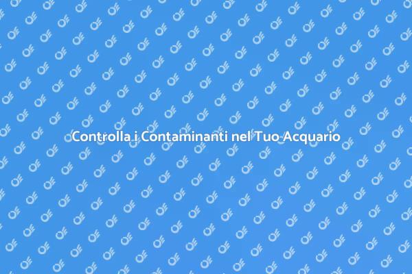 Importanza del Kit per Acquario Sicuro
