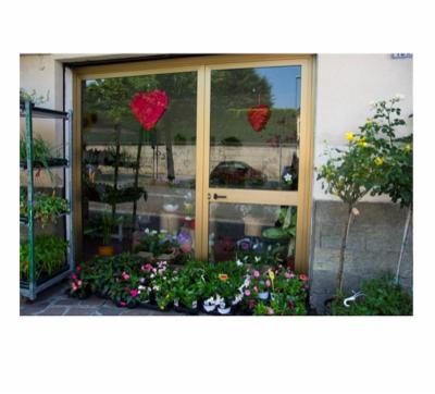 Spazio Verde  - Foto 2