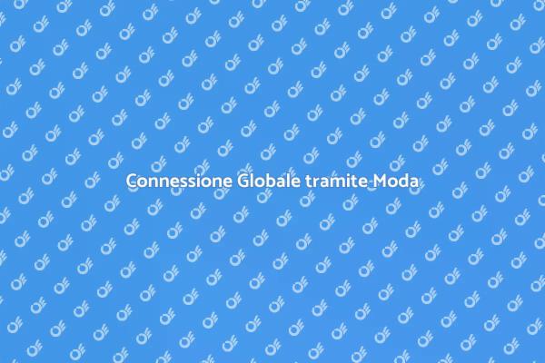 Moda senza Confini: Spedizioni Globali