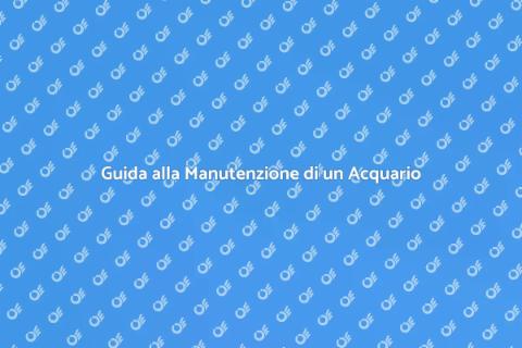 Manutenzione Grande Acquario in Casa