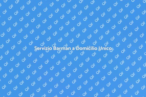 Rendi Speciali le Tue Serate con un Barman