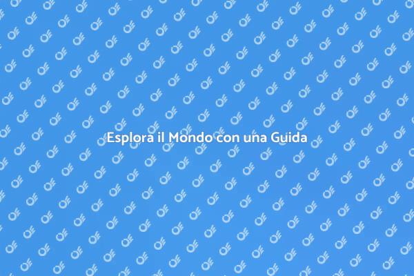 Viaggio Sicuro e Confortevole con Guida