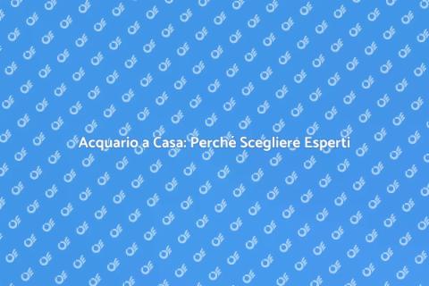 Consulenza Acquario a Casa: Scopri di Più