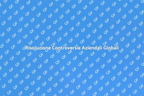 Avvocato per Controversie Internazionali