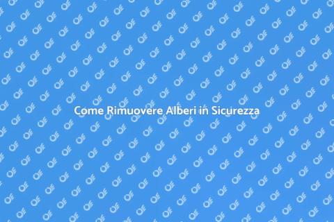 Rimozione Alberi: Guida Completa