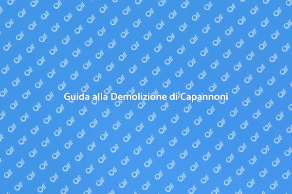 Ristrutturazioni: Demolizione Capannoni