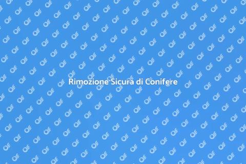 Rimuovere Alberi di Conifere Facile