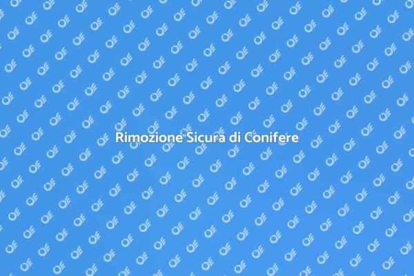 Come Rimuovere un Albero di Conifere