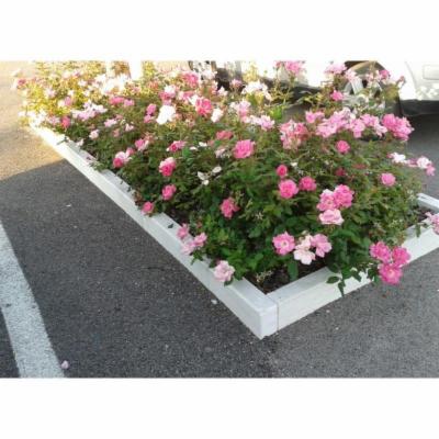 Il Giardino  - Foto 4