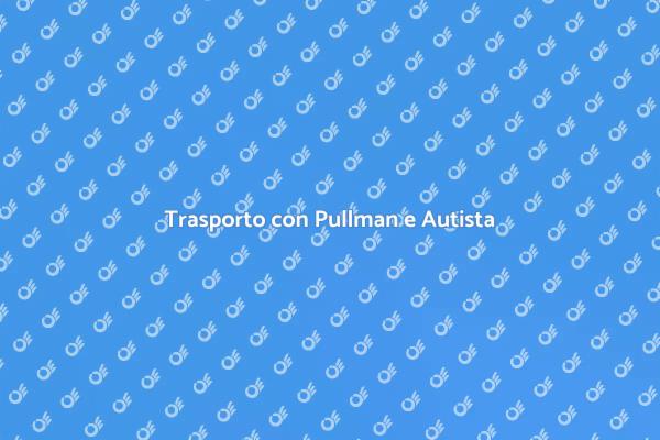 Viaggia con un Pullman Confortevole