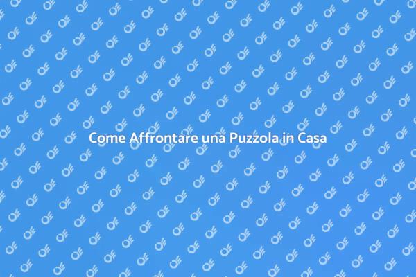 Rimuovere Puzzole: Consigli Utili