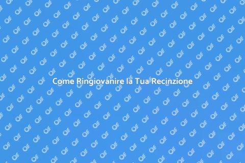 Lavare a Pressione una Recinzione