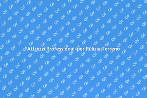 Kit di Attrezzi per la Pulizia
