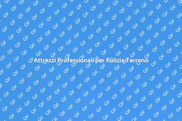 Attrezzi Essenziali per la Pulizia Esterni
