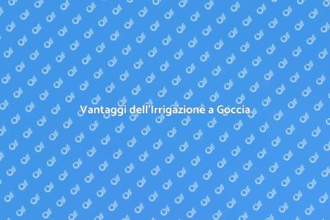 Irrigazione a Goccia: Sostenibilità Verde