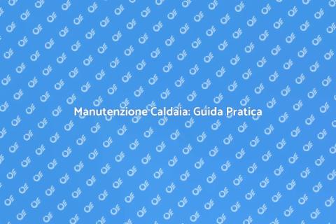 Manutenzione Caldaia a Biomassa