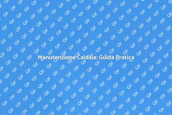 Guida alla Manutenzione della Caldaia
