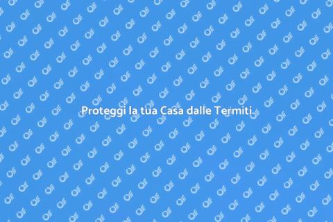 La Garanzia Anti Termiti per Casa