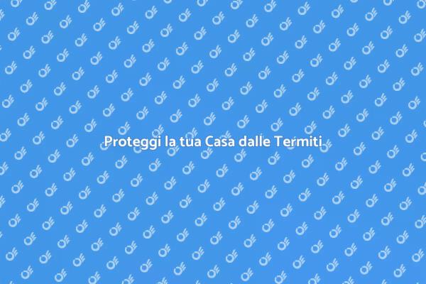 Sicurezza per la tua Casa: Garanzia Anti Termiti