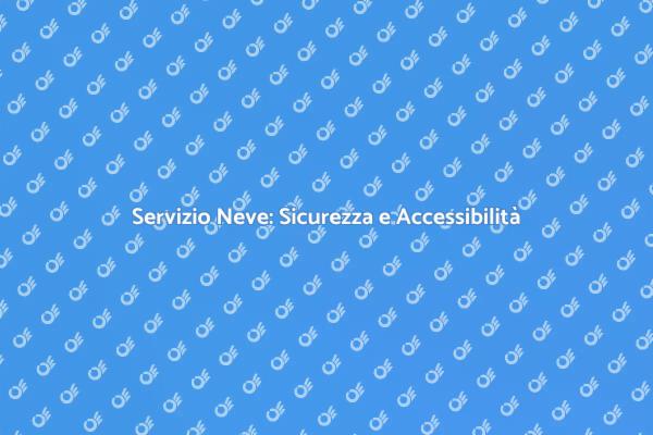 Servizio di Rimozione Neve Essenziale