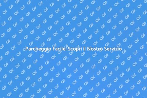 Servizio di Parcheggiatore Efficiente