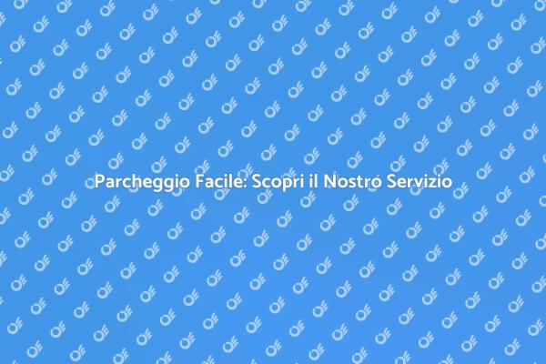 Parcheggiatore: Libertà e Comfort per Te