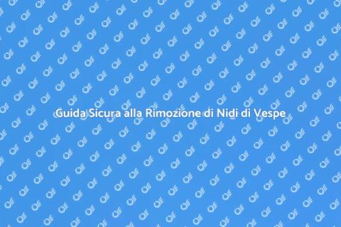Rimozione Nido di Vespe Sicura